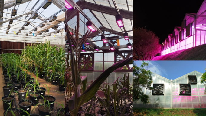 climate-smart agriculture in Brazil.png
